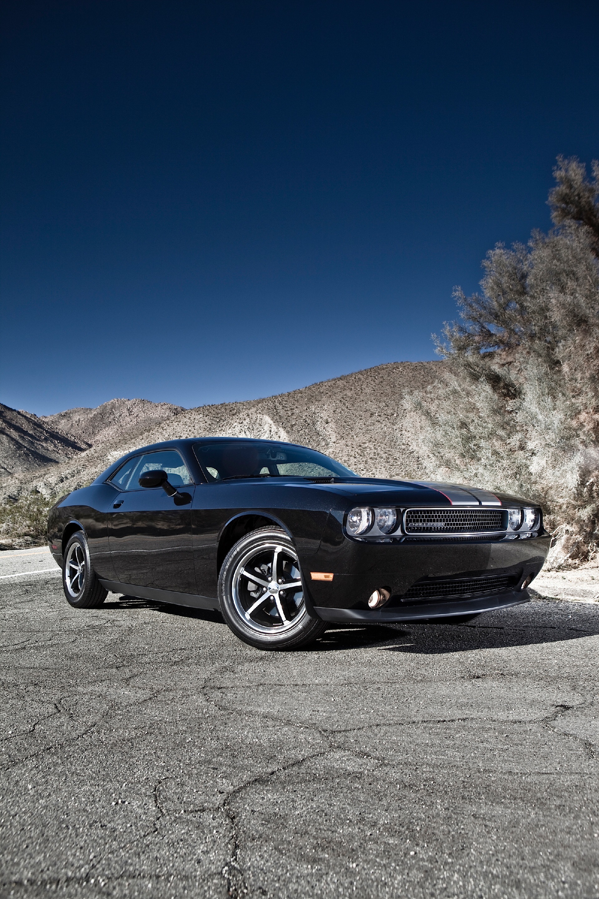 Dodge Challenger photo 68