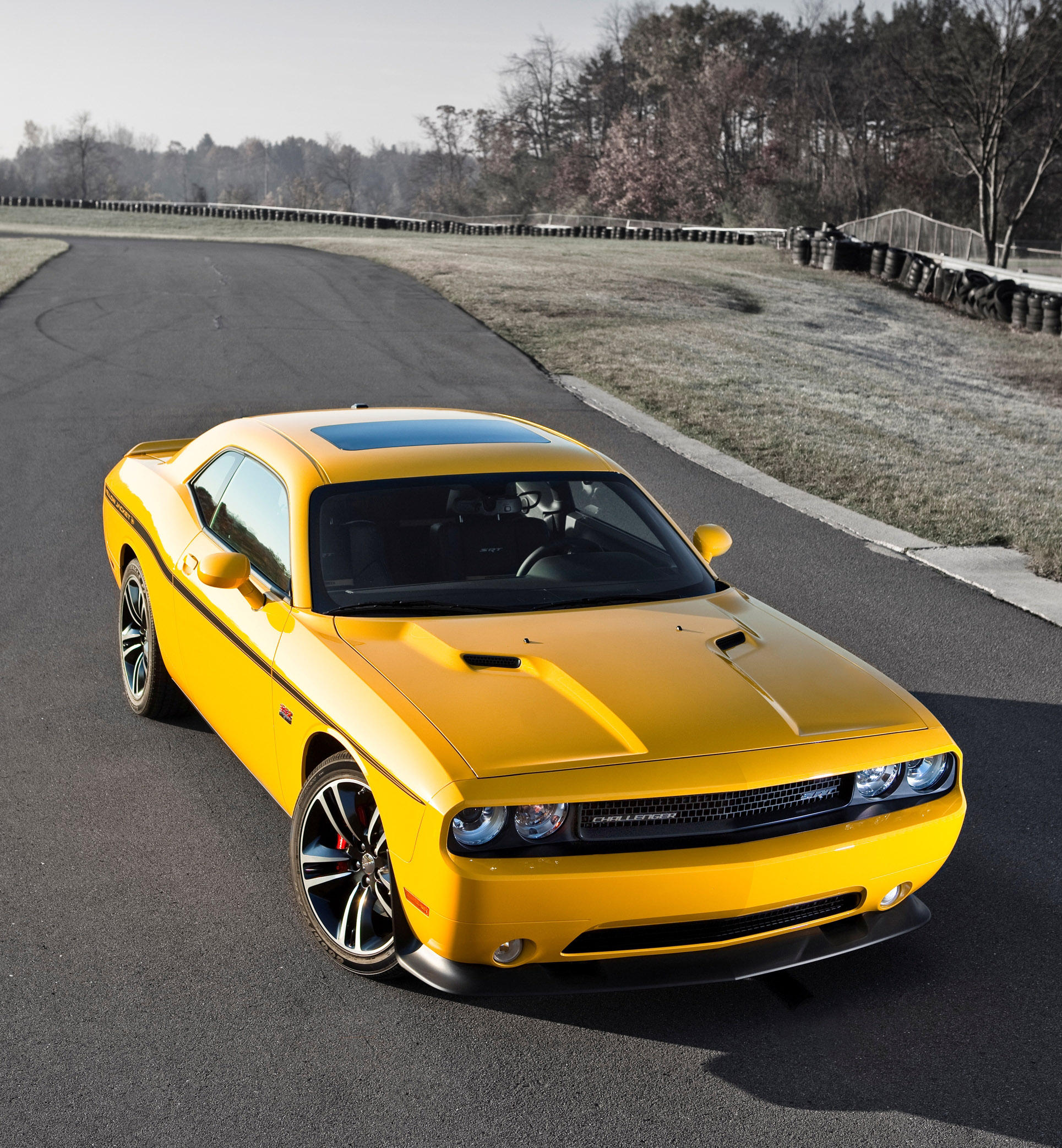 Dodge Challenger photo 31