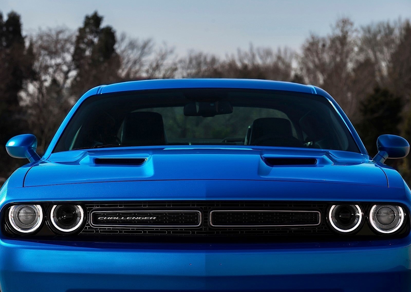 Dodge Challenger photo 106