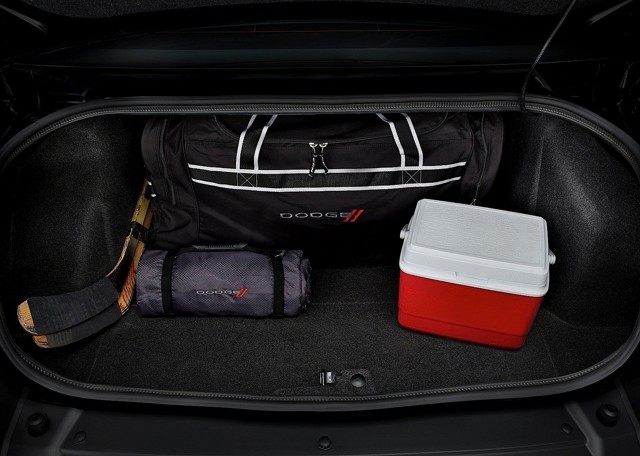 Dodge Challenger photo 132