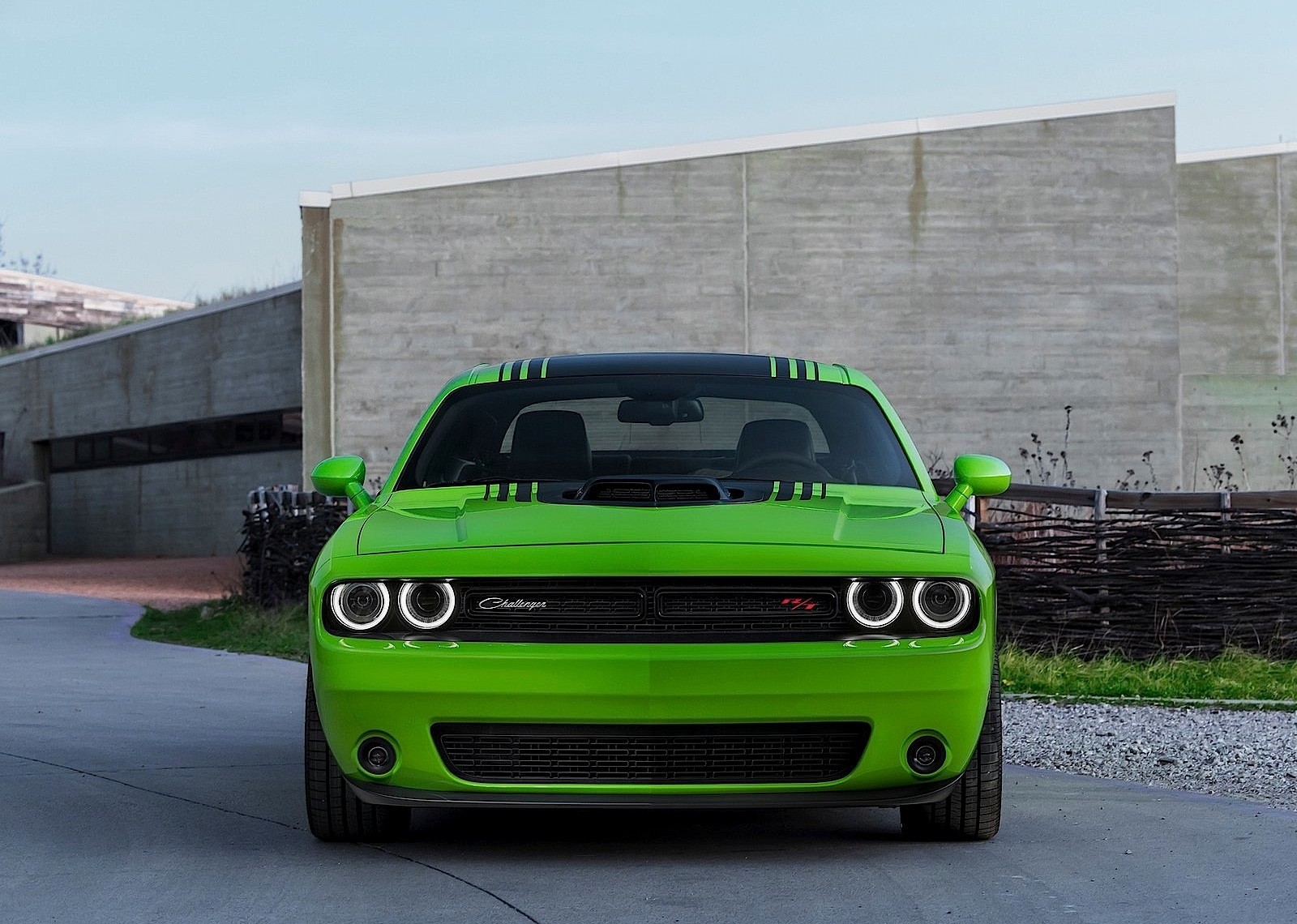 Dodge Challenger photo 31