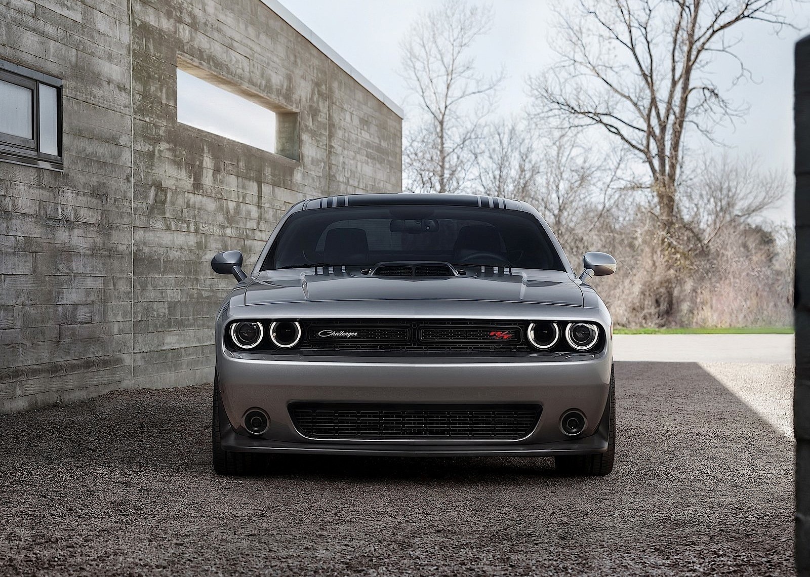 Dodge Challenger photo 32