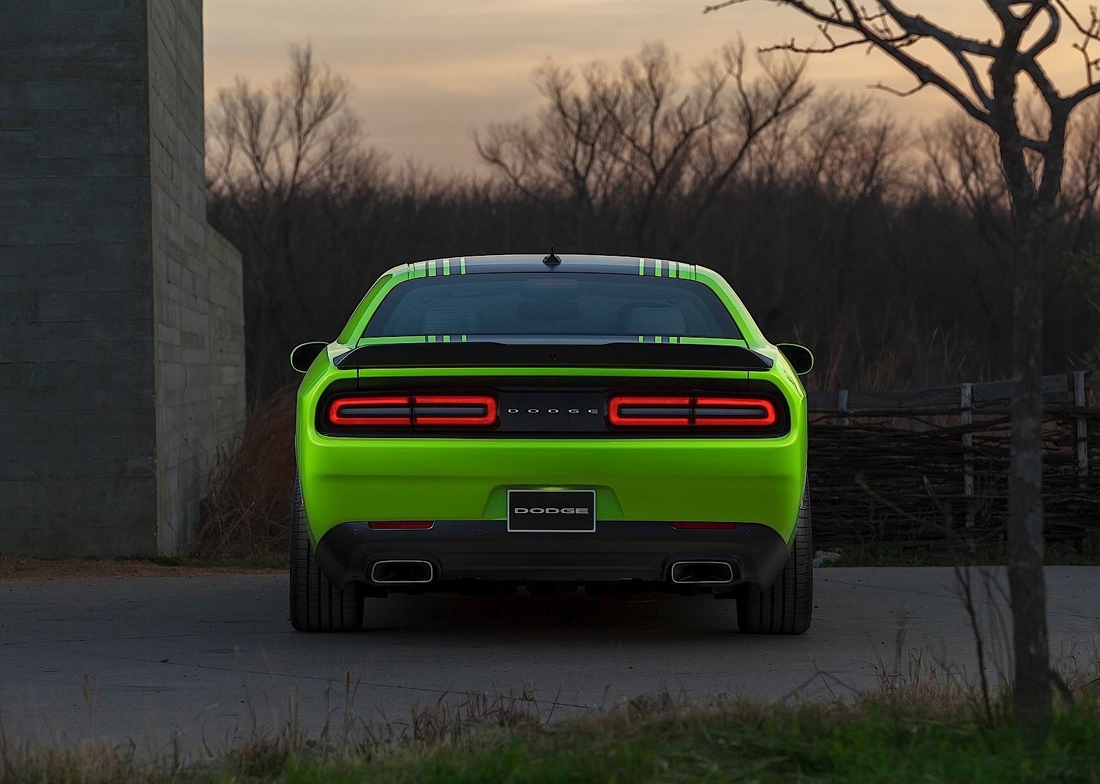 Dodge Challenger photo 37