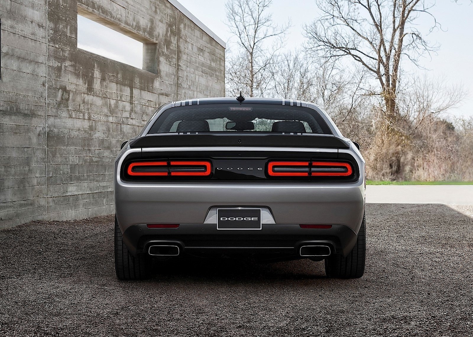 Dodge Challenger photo 39