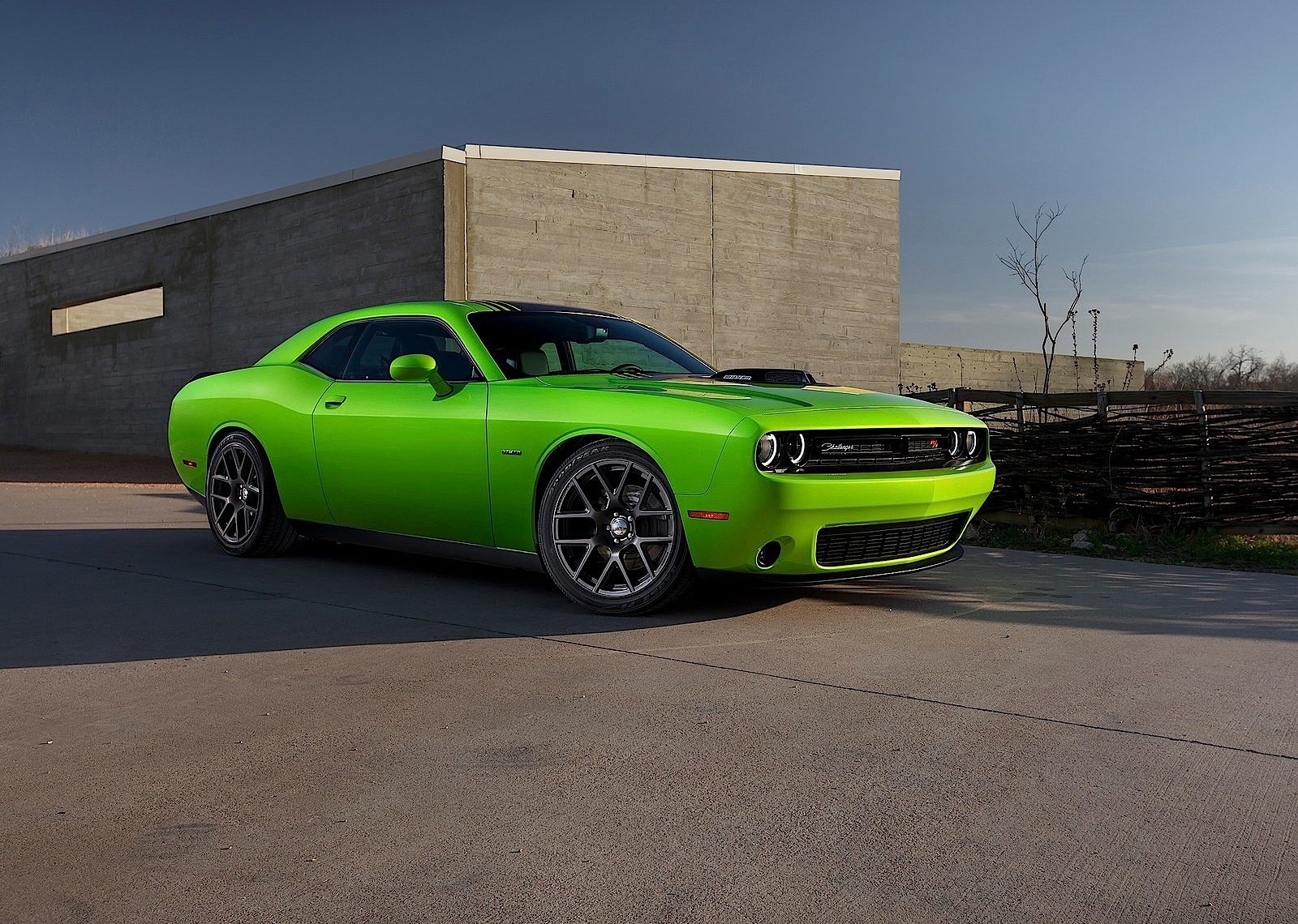 Dodge Challenger photo 43
