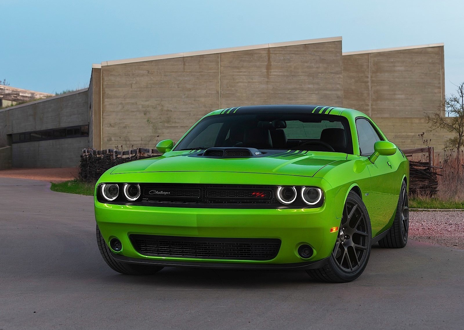 Dodge Challenger photo 51
