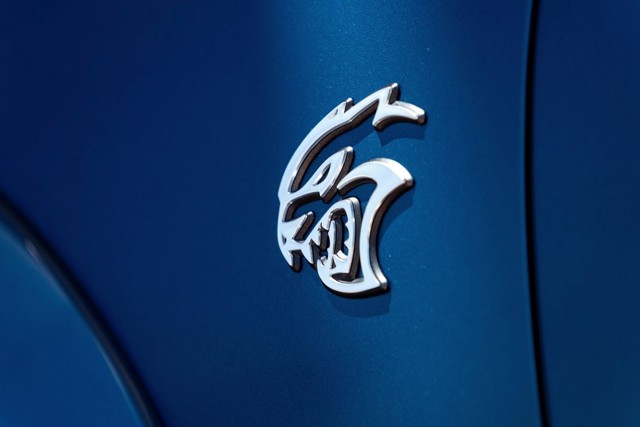 Dodge Charger Srt photo 61