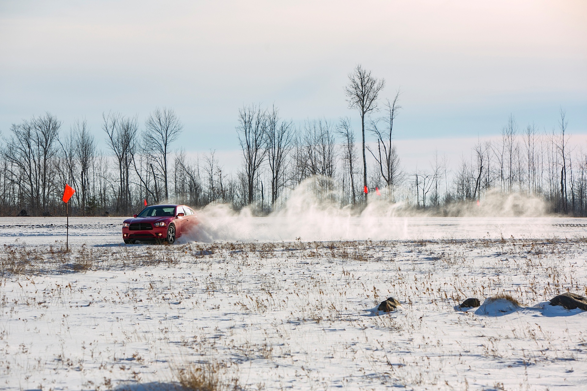 Dodge Charger photo 19