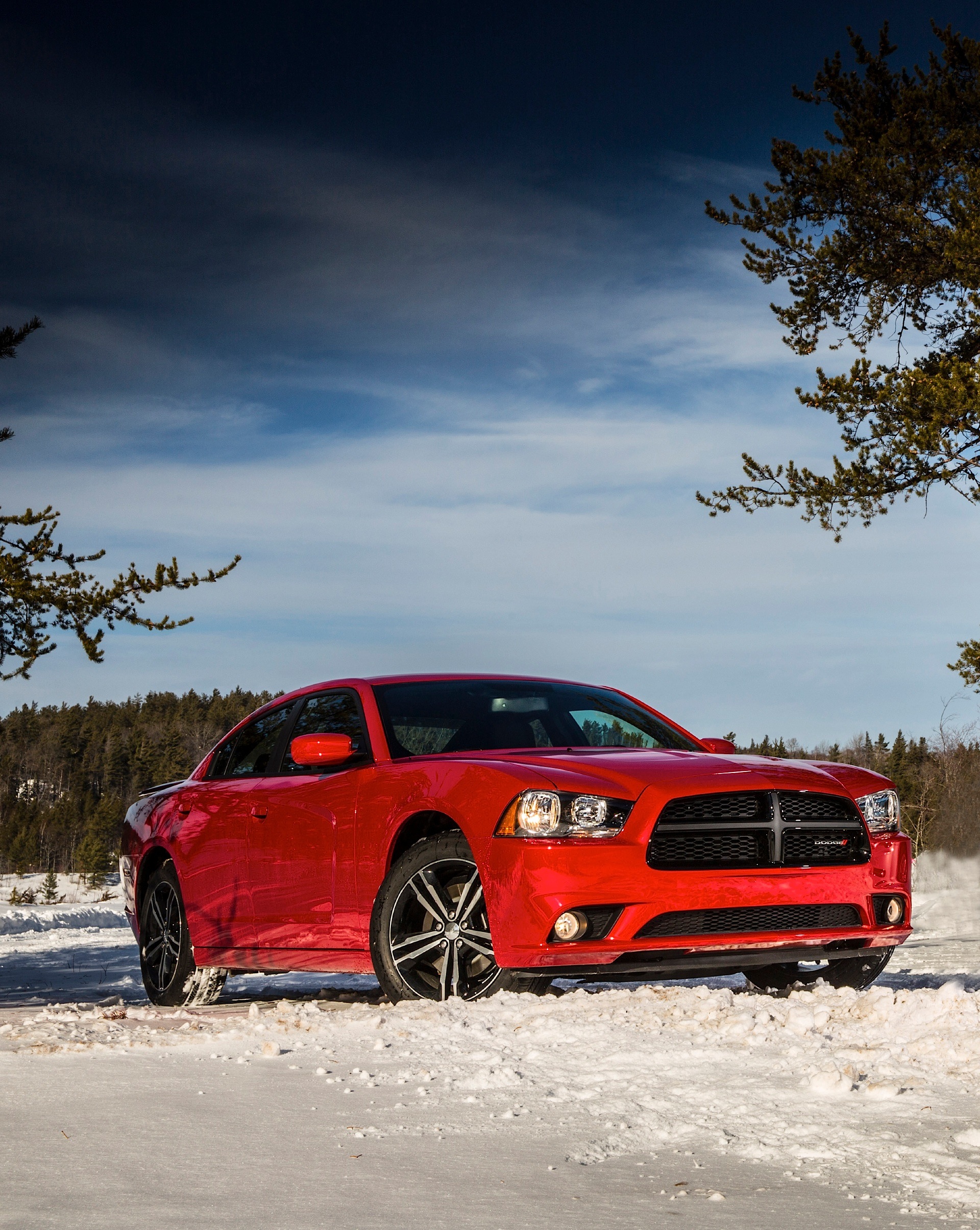 Dodge Charger photo 24