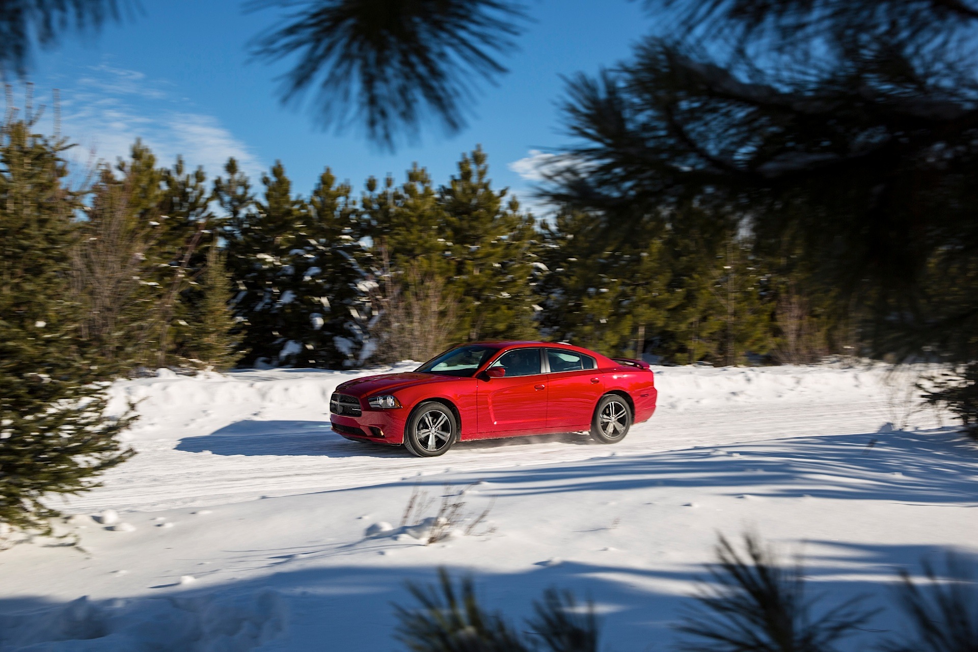 Dodge Charger photo 40