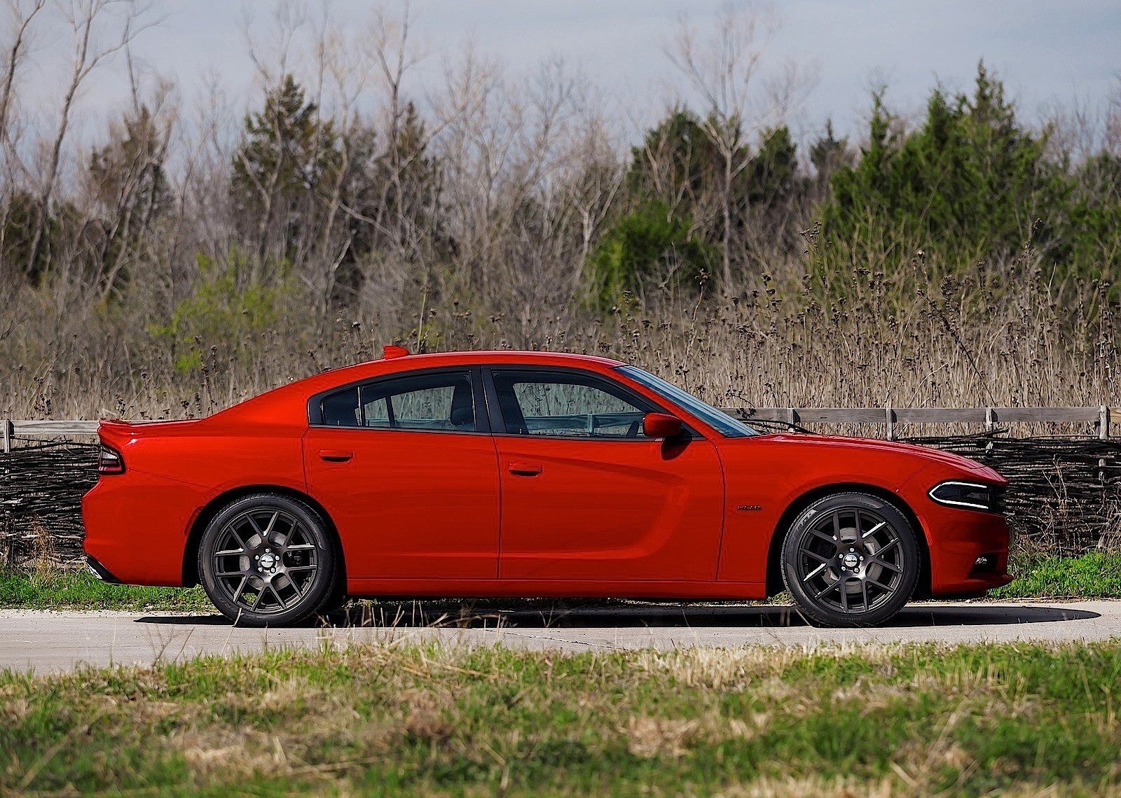 Dodge Charger photo 2