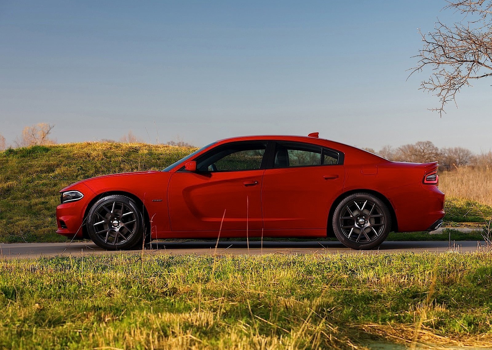 Dodge Charger photo 3