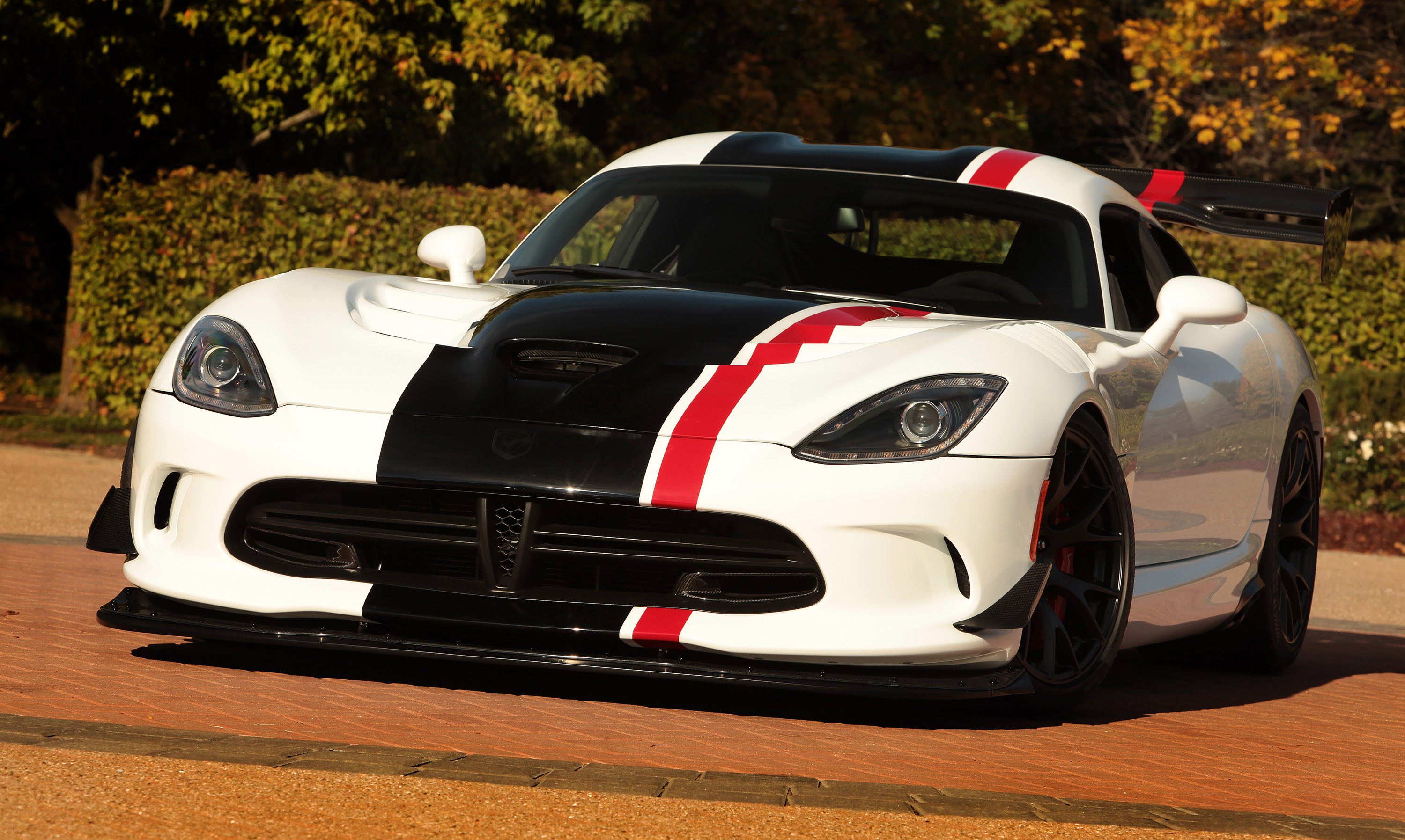 Dodge Viper photo 21