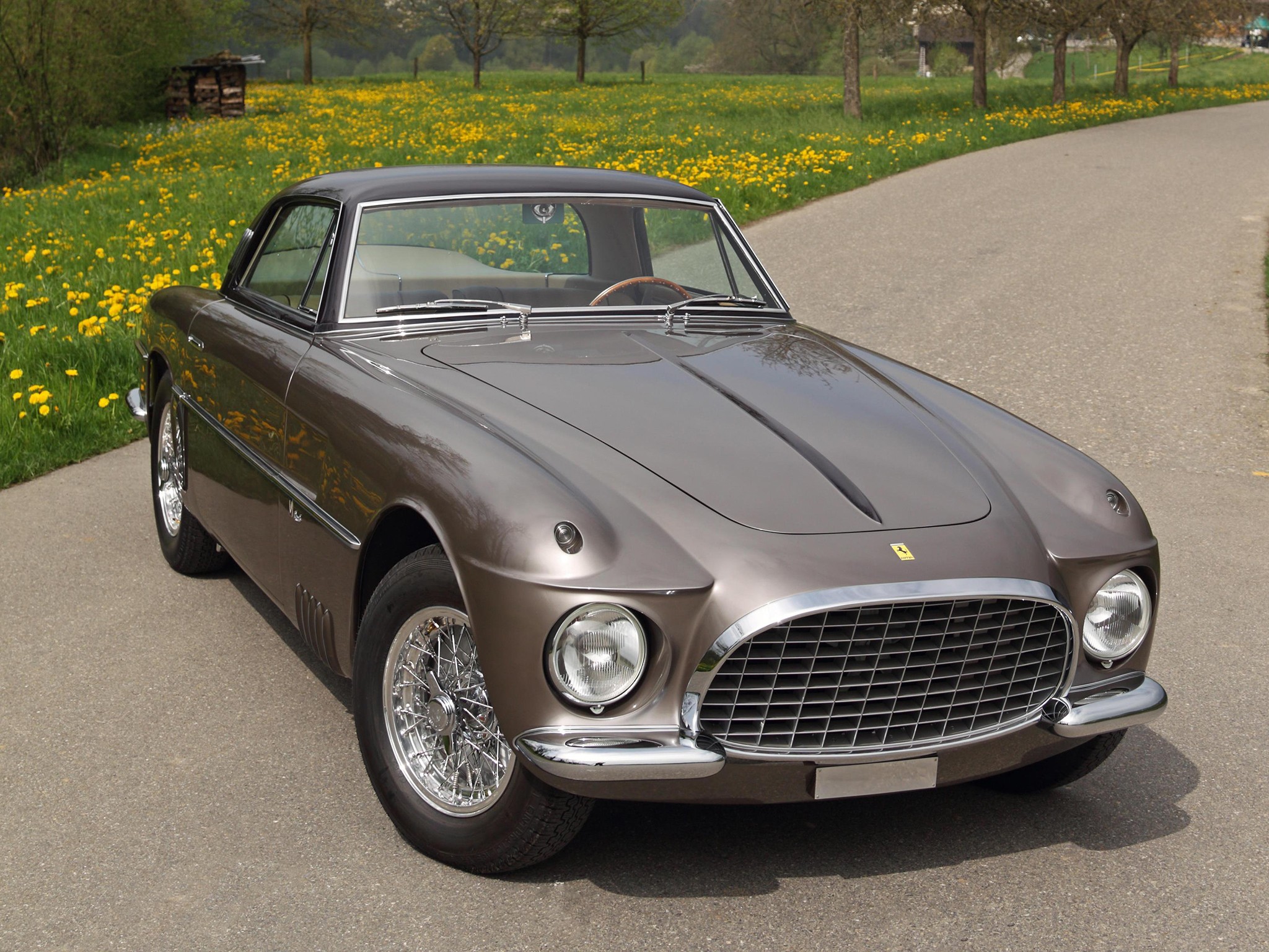 Ferrari 250 photo 14