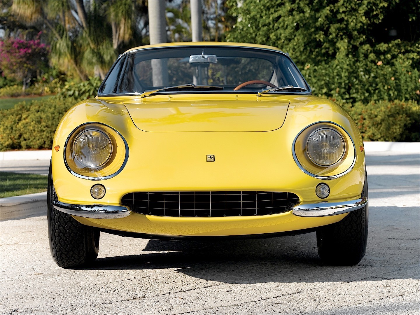 Ferrari 275 photo 16
