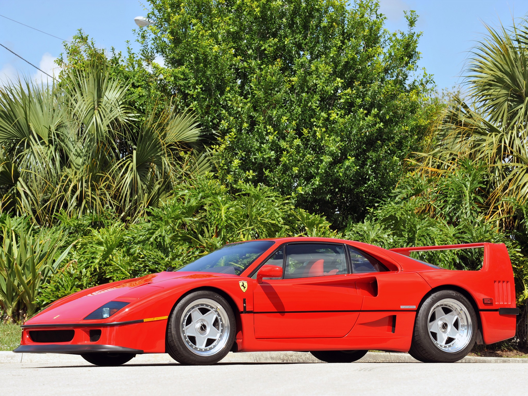 Ferrari 288 Gto/F40/F50/Enzo/Laferrari photo 15