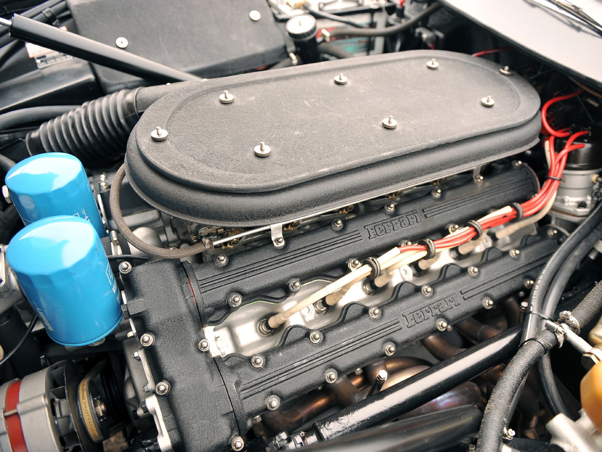 Ferrari 365 photo 62