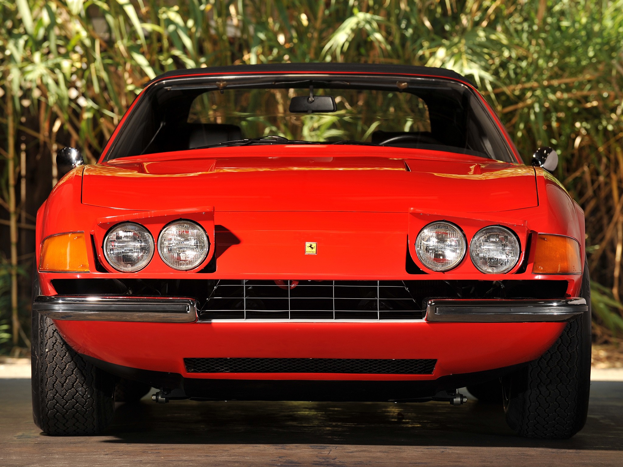 Ferrari 365 photo 23