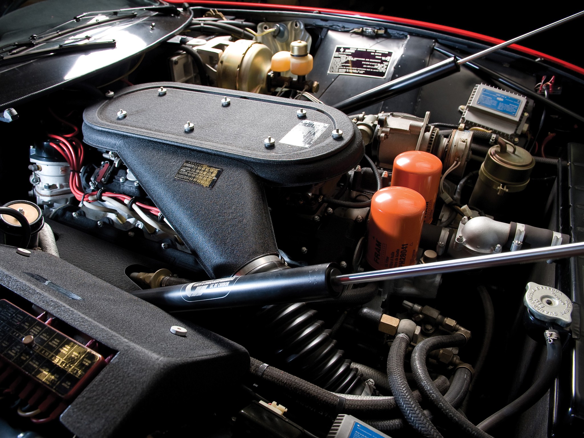 Ferrari 365 photo 59