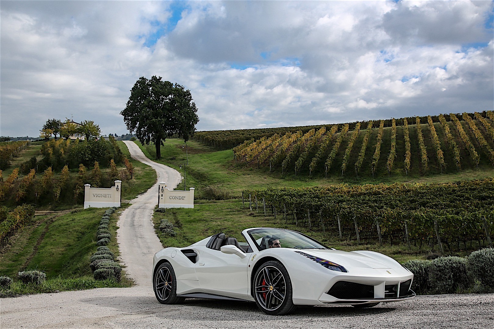 Ferrari 488 Spider photo 16