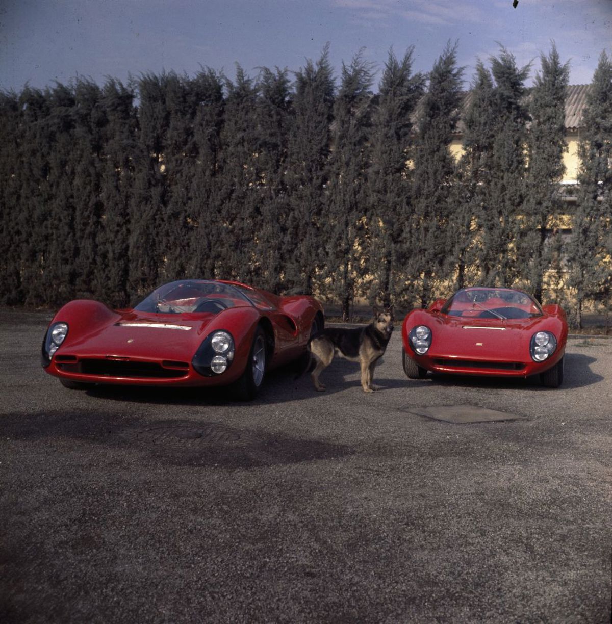 Ferrari Ferrari Daytona