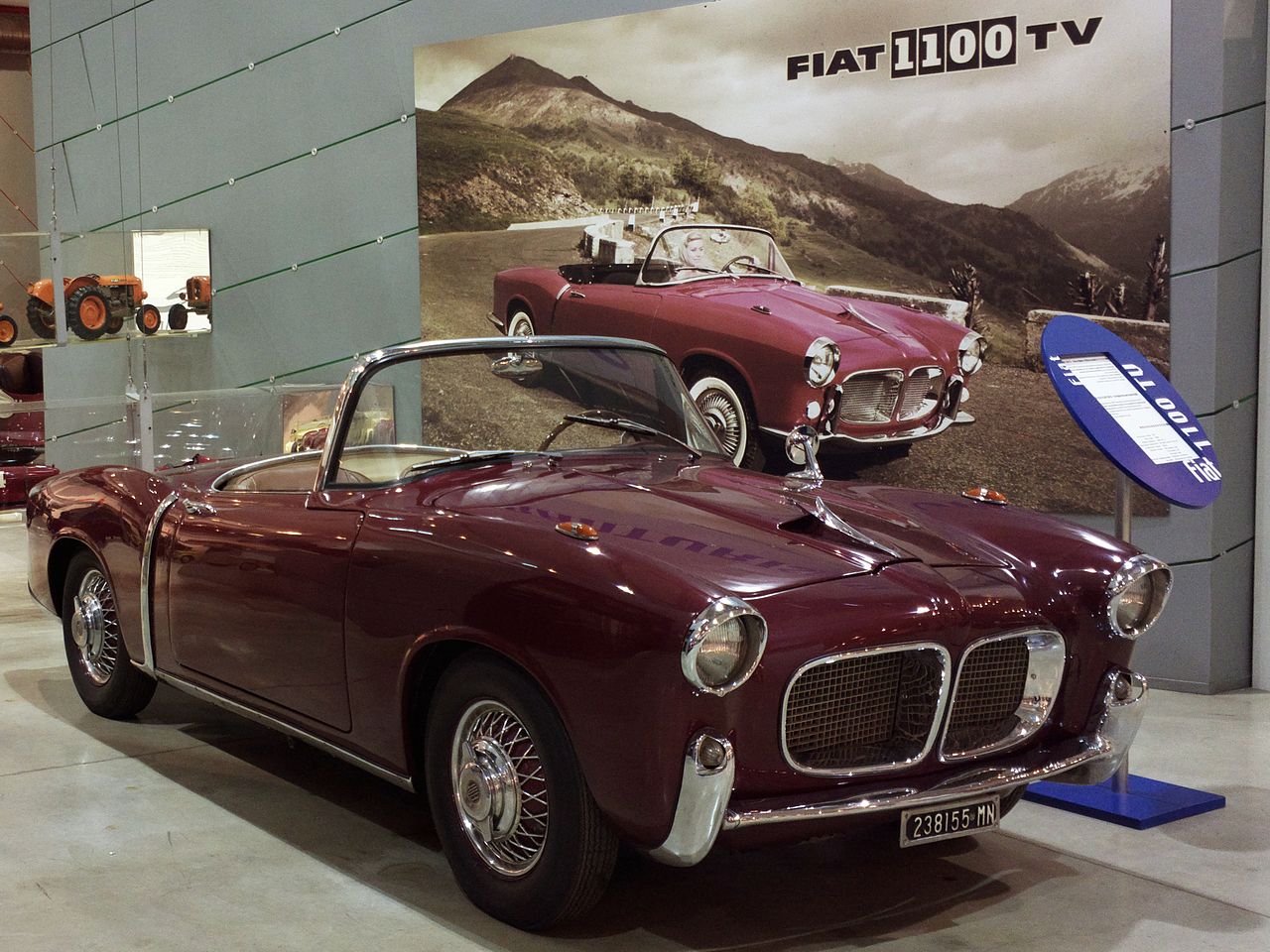 Fiat 1100 Tv Spider photo 3