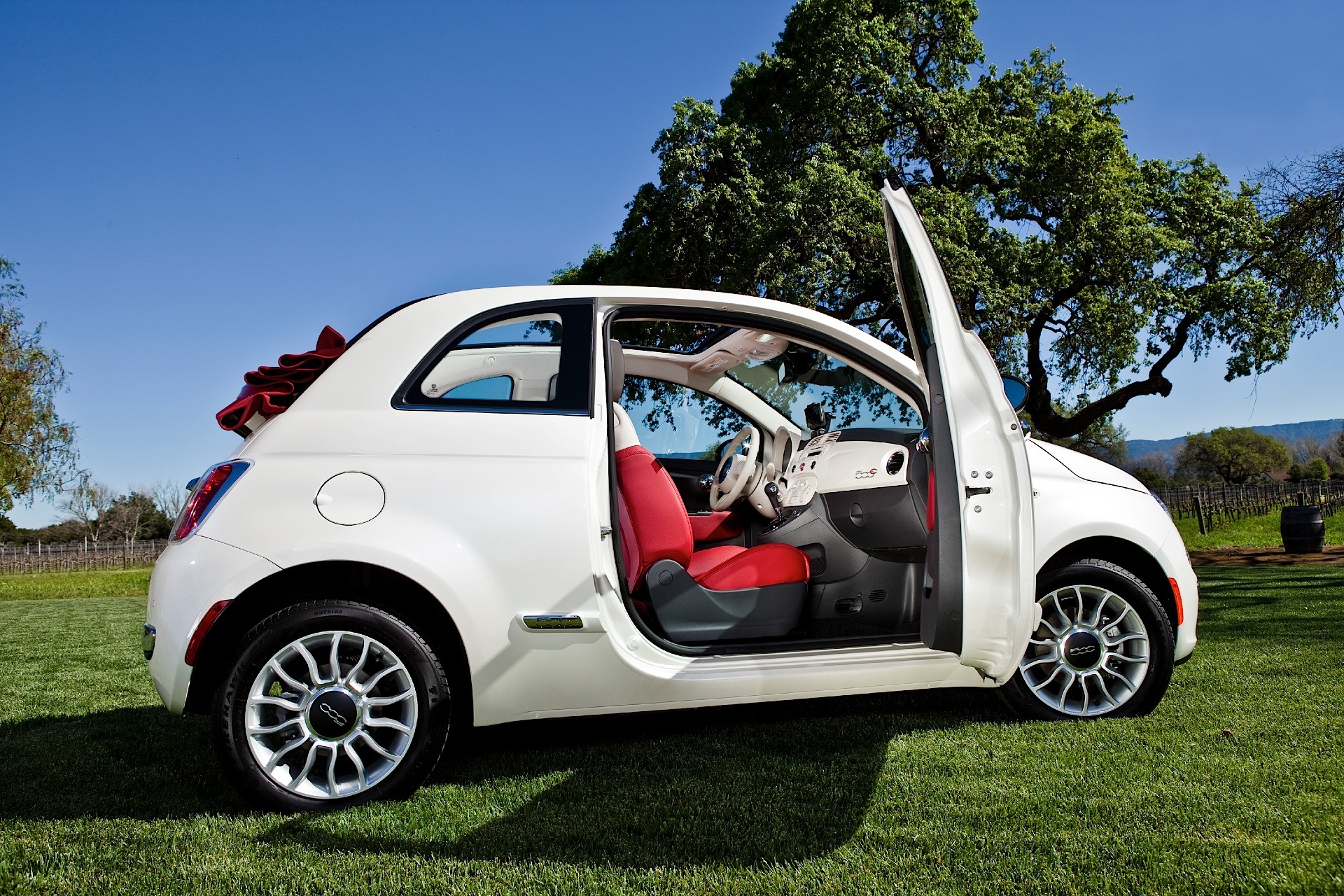 Fiat 500 photo 35