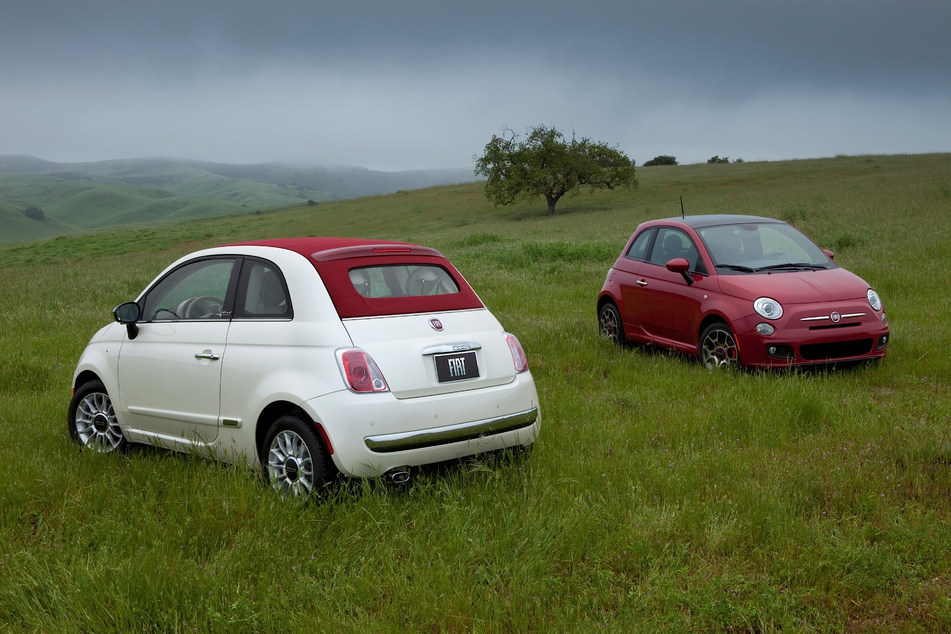 Fiat 500 photo 41