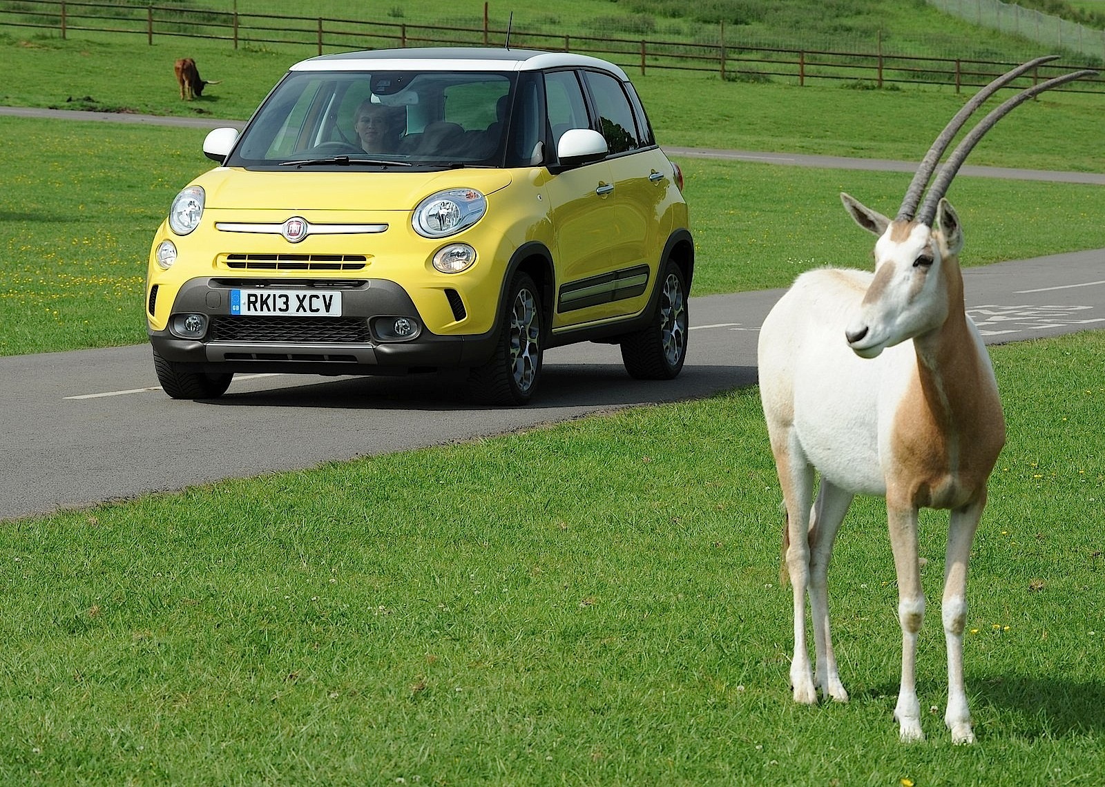 Fiat 500L Trekking photo 8