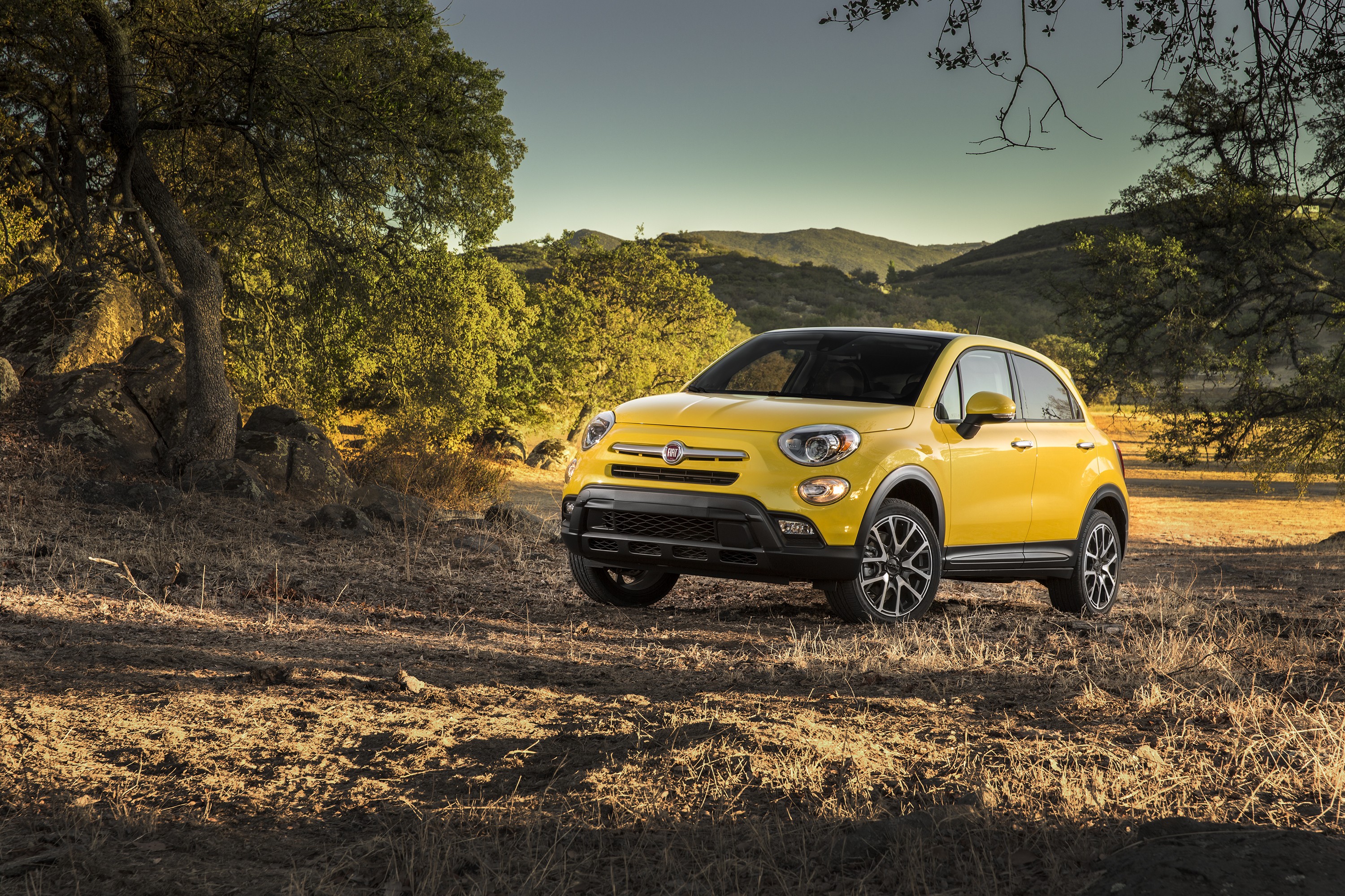 Fiat 500L Trekking photo 45