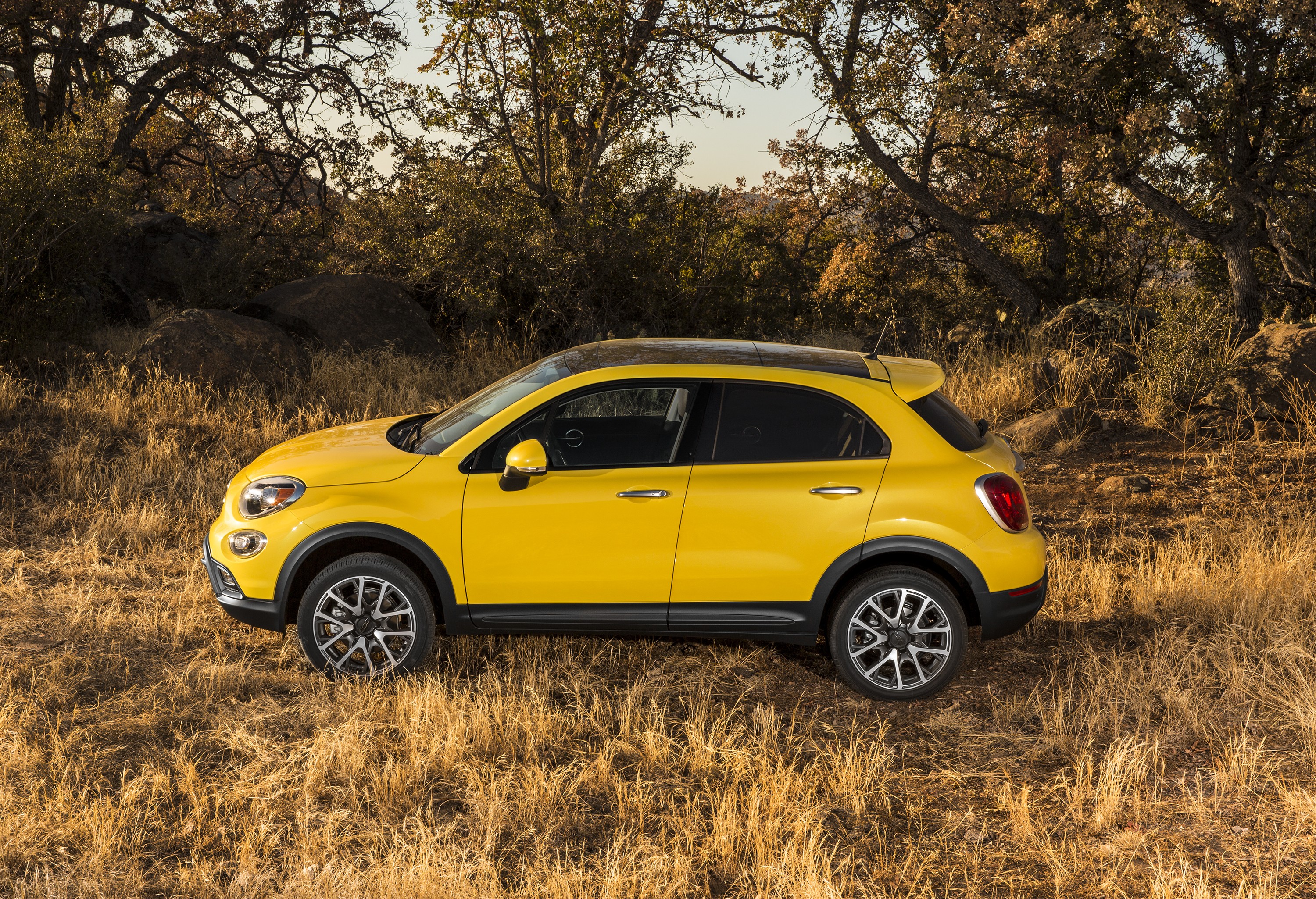 Fiat 500L Trekking photo 46