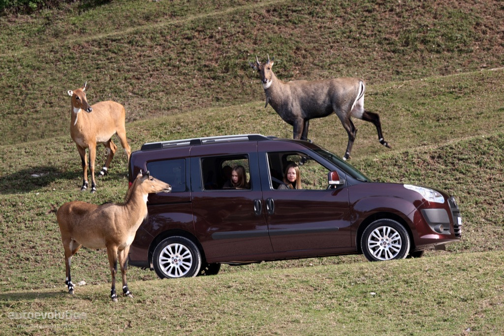 Fiat Doblo photo 11