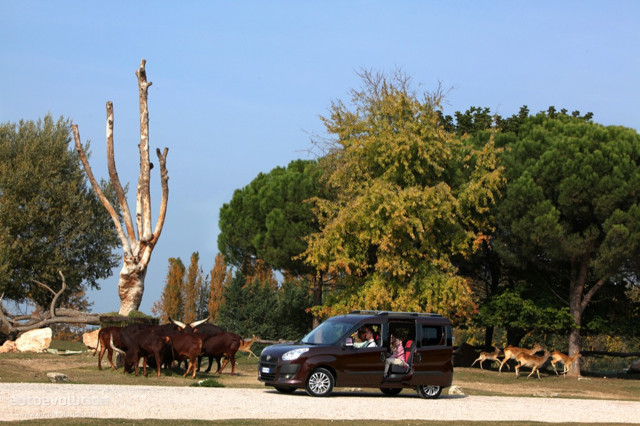 Fiat Doblo photo 5