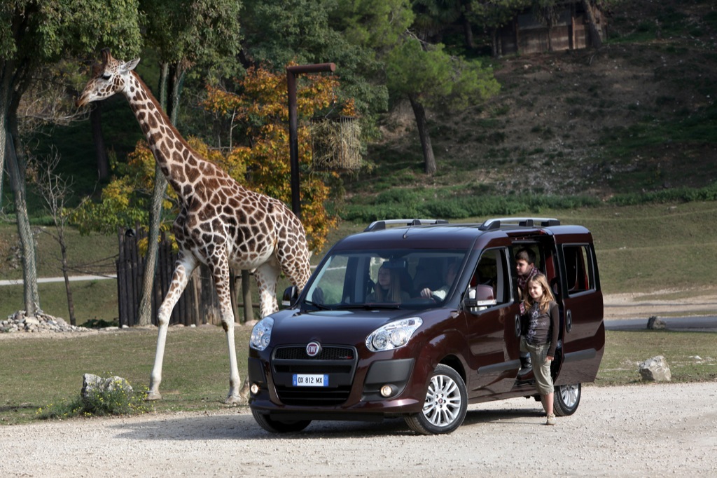 Fiat Doblo photo 8