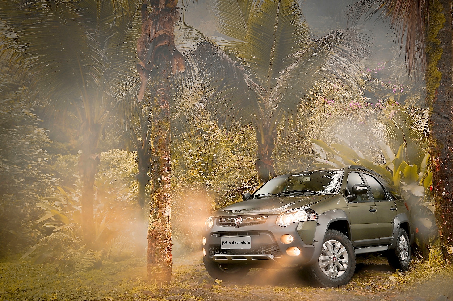 Fiat Palio Weekend photo 10