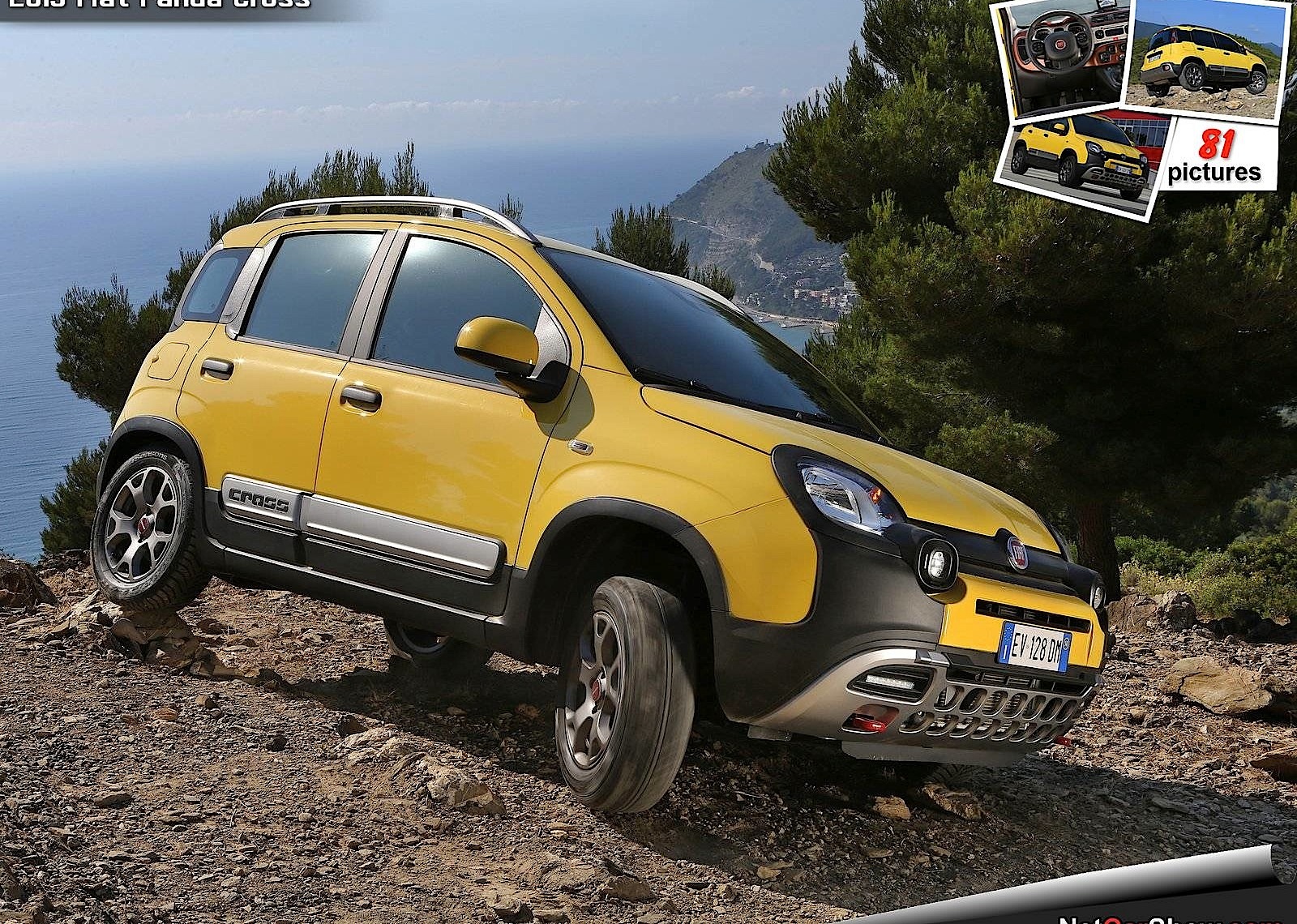Fiat Panda Cross photo 4