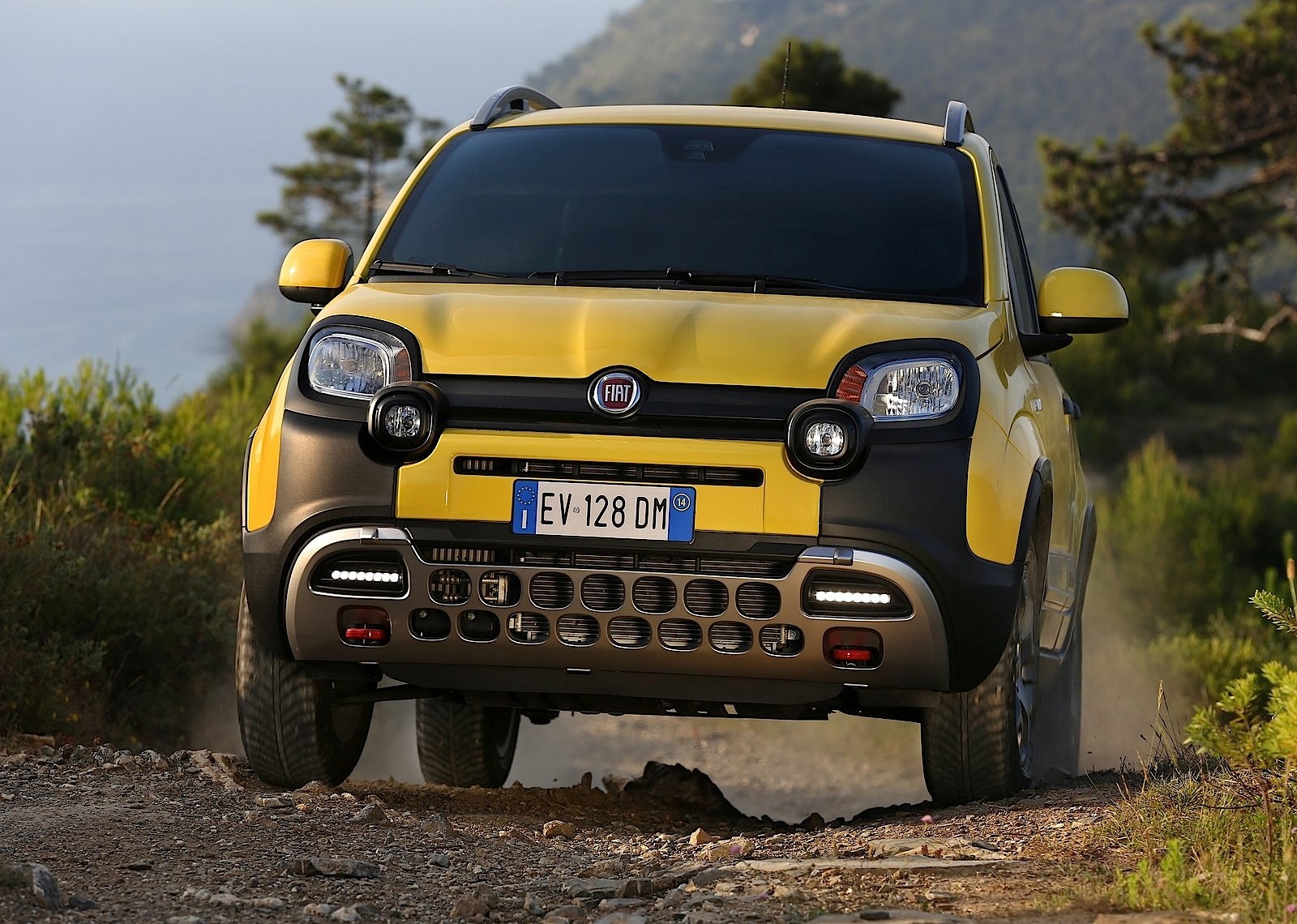 Fiat Panda Cross photo 17