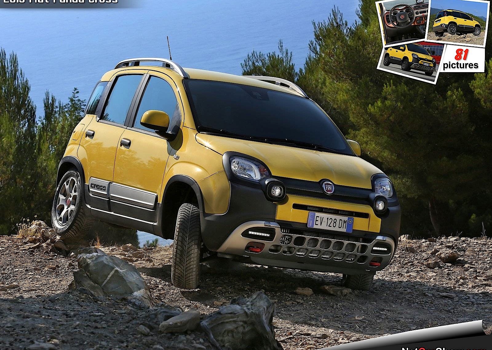 Fiat Panda Cross photo 26