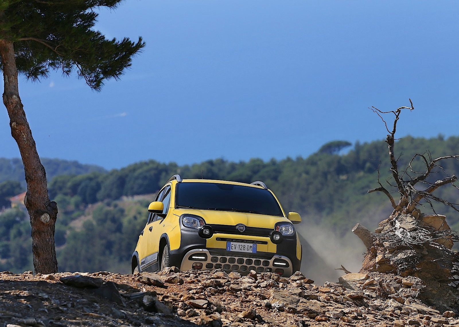 Fiat Panda Cross photo 37
