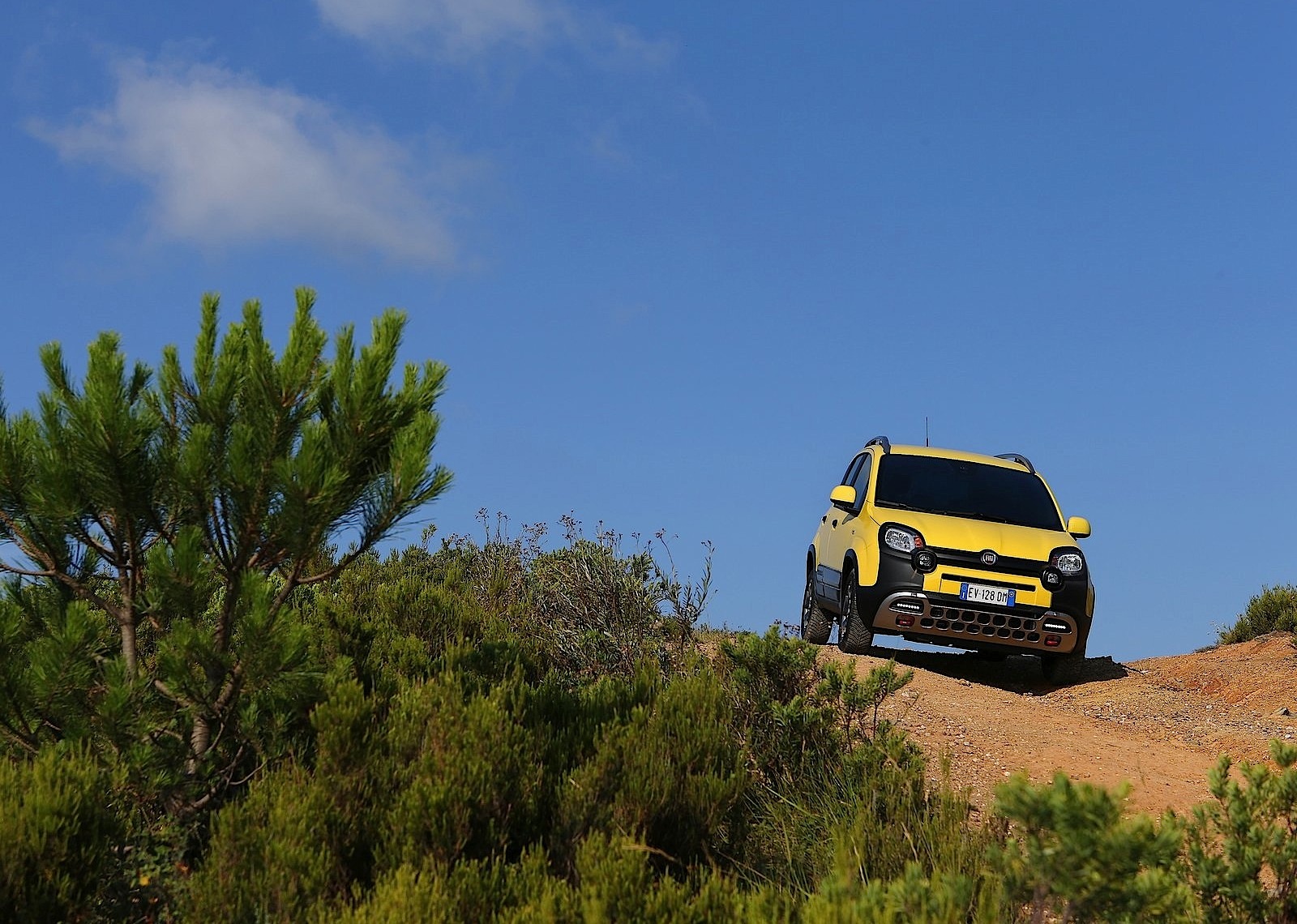 Fiat Panda Cross photo 38