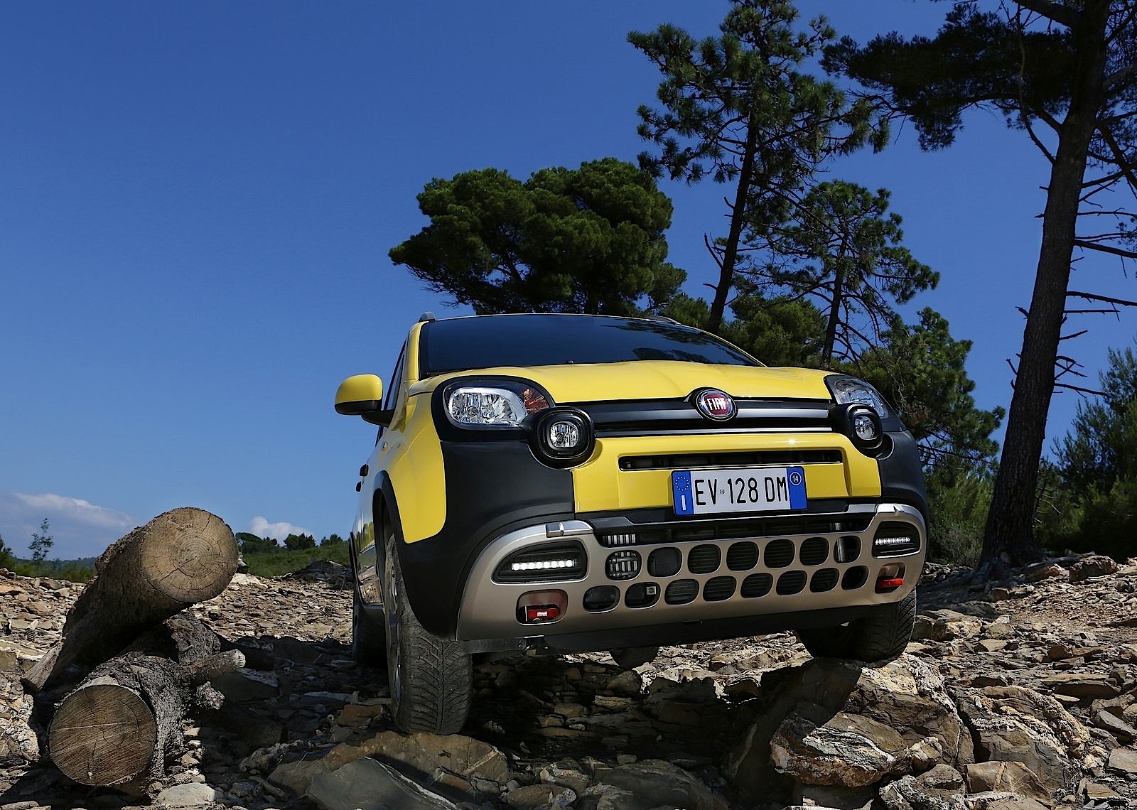 Fiat Panda Cross photo 45