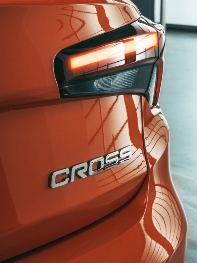 Fiat Tipo Cross photo 19