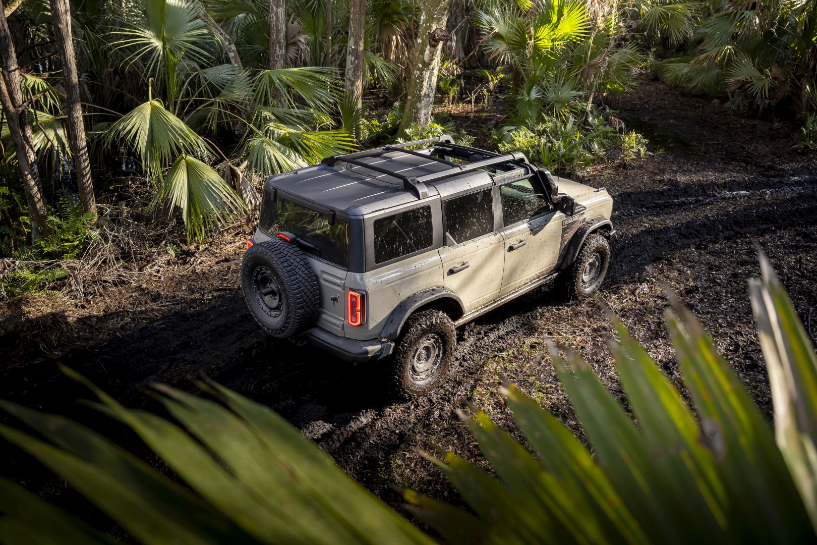 Ford Bronco photo 11