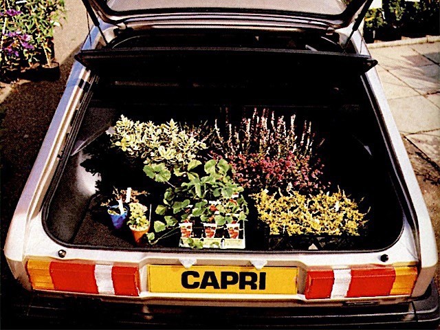 Ford Capri photo 38