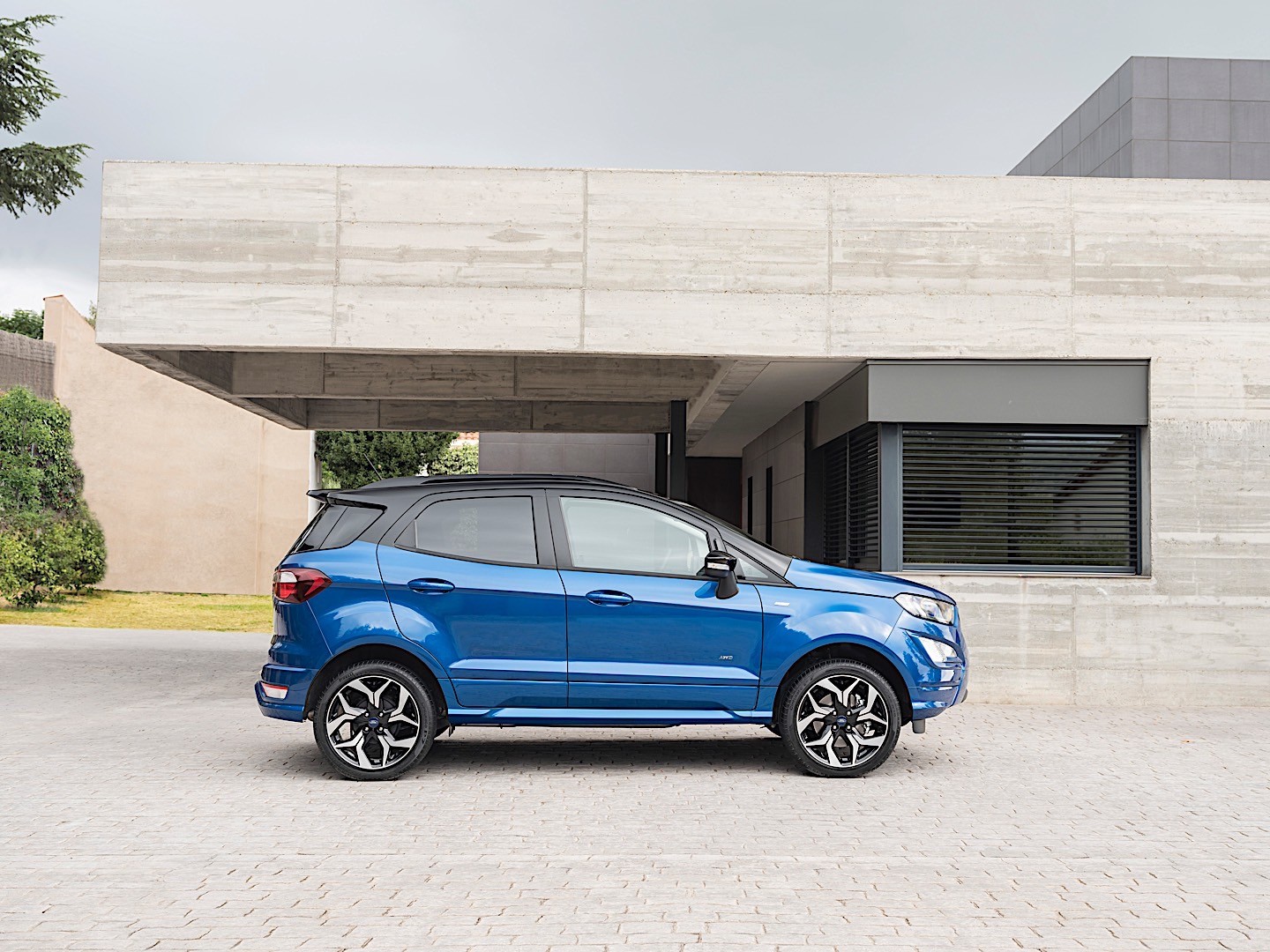 Ford Ecosport photo 33