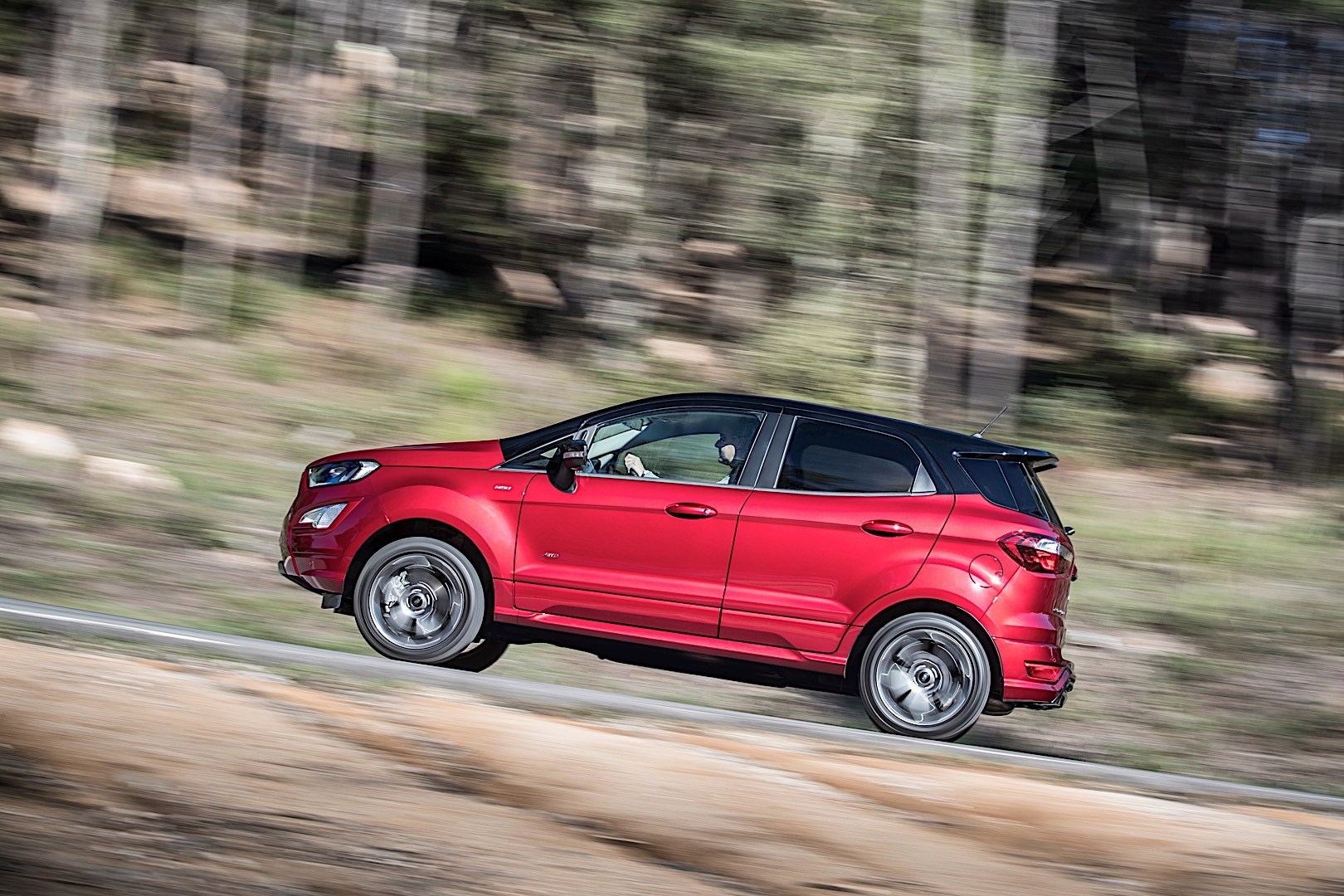 Ford Ecosport photo 42