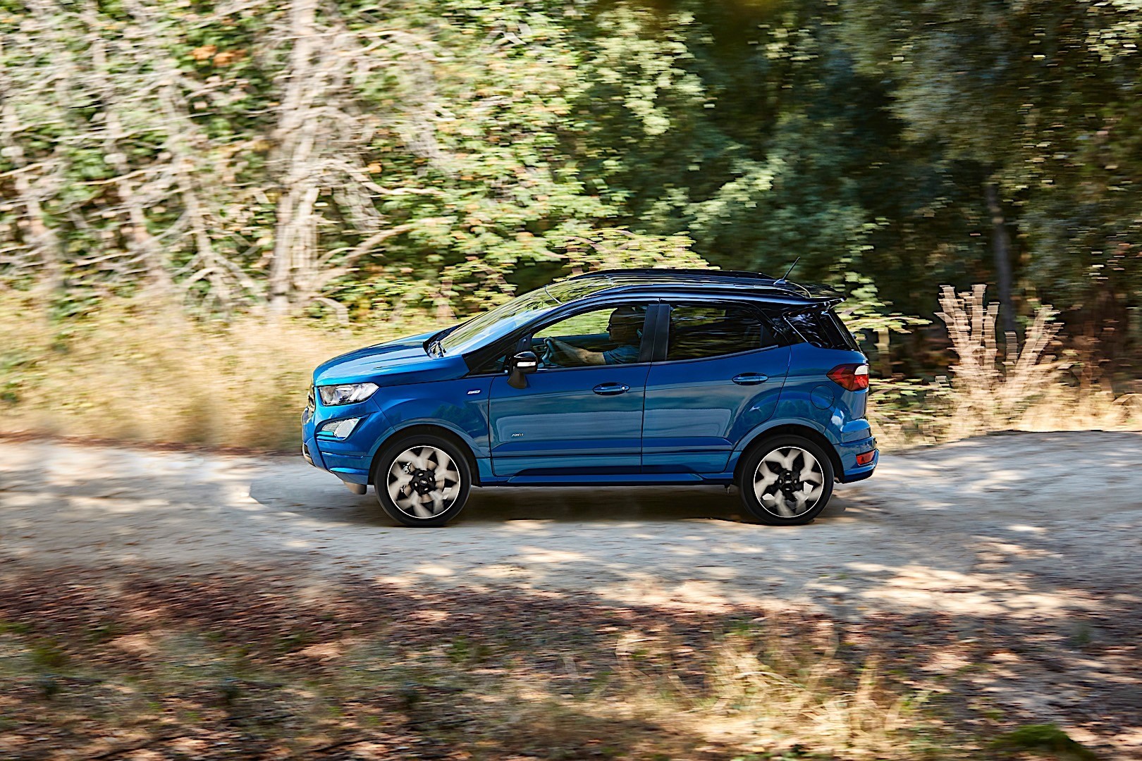 Ford Ecosport photo 43