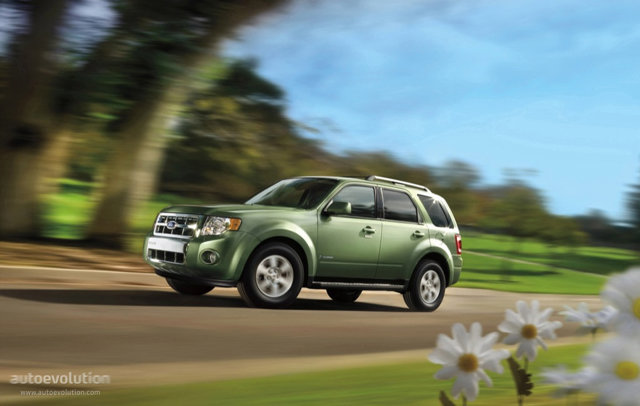 Ford Escape photo 3