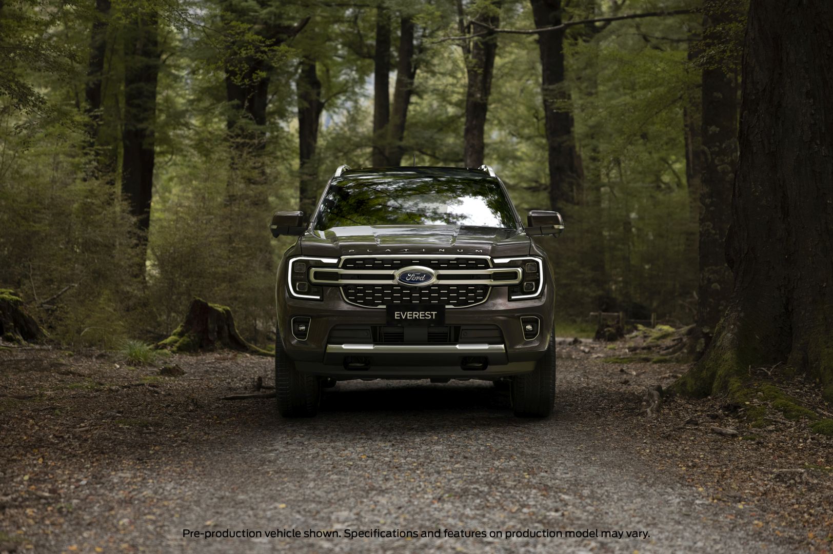 Ford Everest photo 9