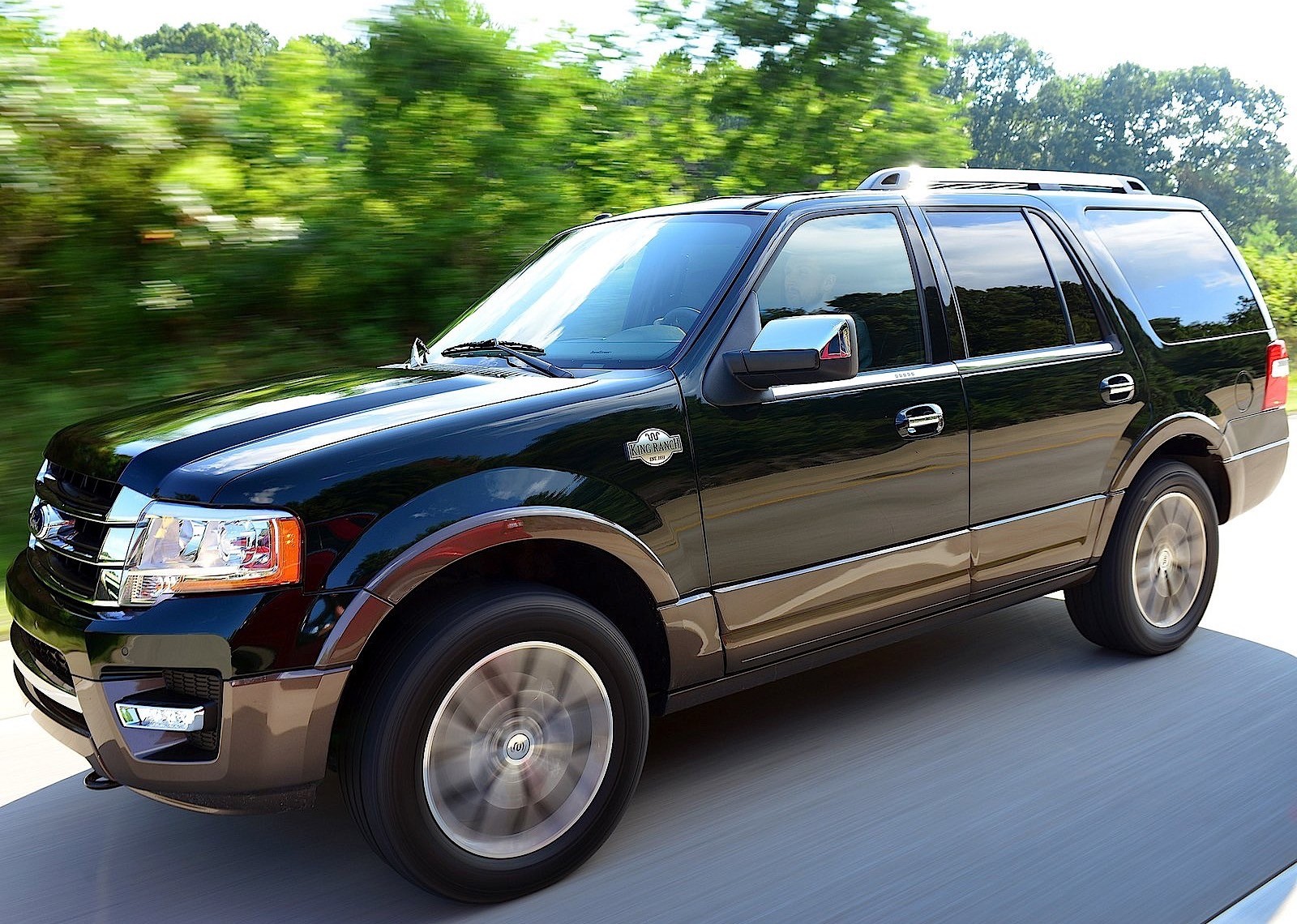 Ford Expedition photo 16
